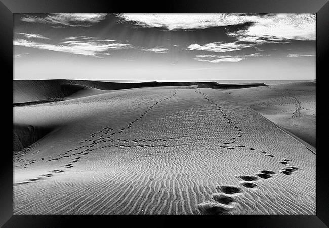 Footsteps in the sand Framed Print by Andy McGarry