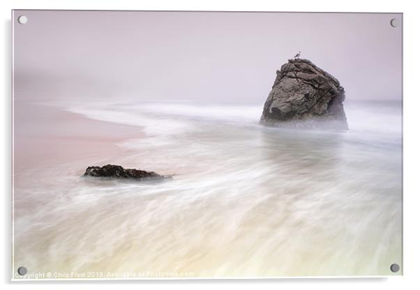 Garrapata Beach Fog Acrylic by Chris Frost
