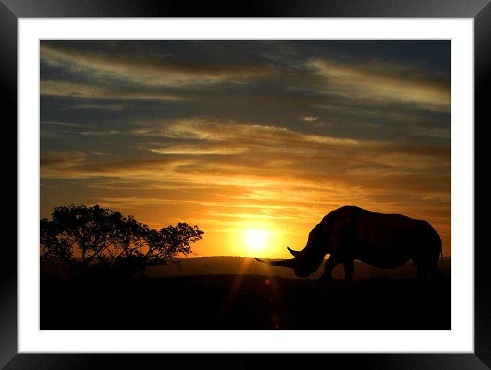 Majestic Rhino at Sunset Framed Mounted Print by Jonathan Pankhurst
