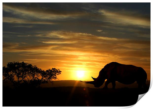 Majestic Rhino at Sunset Print by Jonathan Pankhurst
