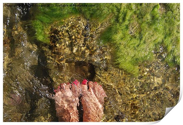A Bit of Sun and Sea at my Feet Print by Gabriela Olteanu