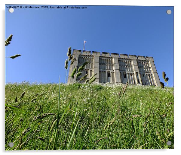 Castle through the grass Acrylic by Jez Mouncer