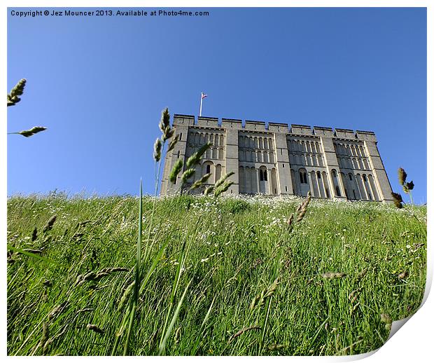 Castle through the grass Print by Jez Mouncer