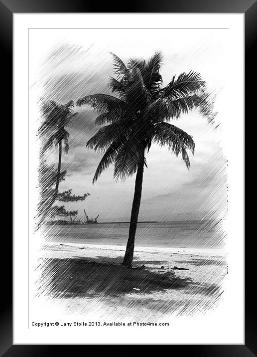 Palms Tree Framed Mounted Print by Larry Stolle