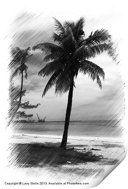 Palms Tree Print by Larry Stolle