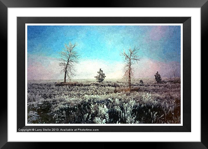 Bitterroot Mountain frosty day Framed Mounted Print by Larry Stolle
