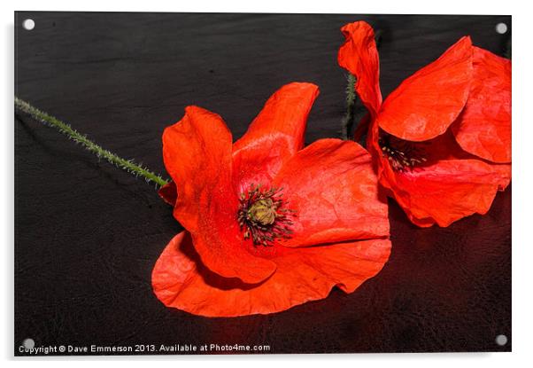 Poppies Acrylic by Dave Emmerson