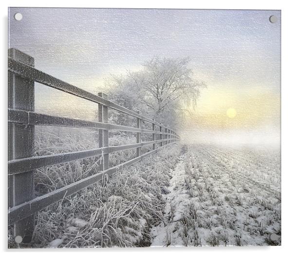 Winters nip Acrylic by Robert Fielding