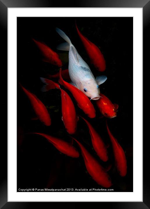 Standing out Framed Mounted Print by Panas Wiwatpanachat