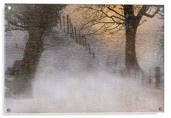 A winters glow Acrylic by Robert Fielding