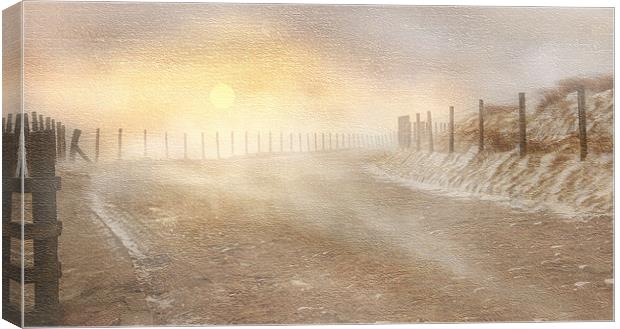 A winter sunset Canvas Print by Robert Fielding