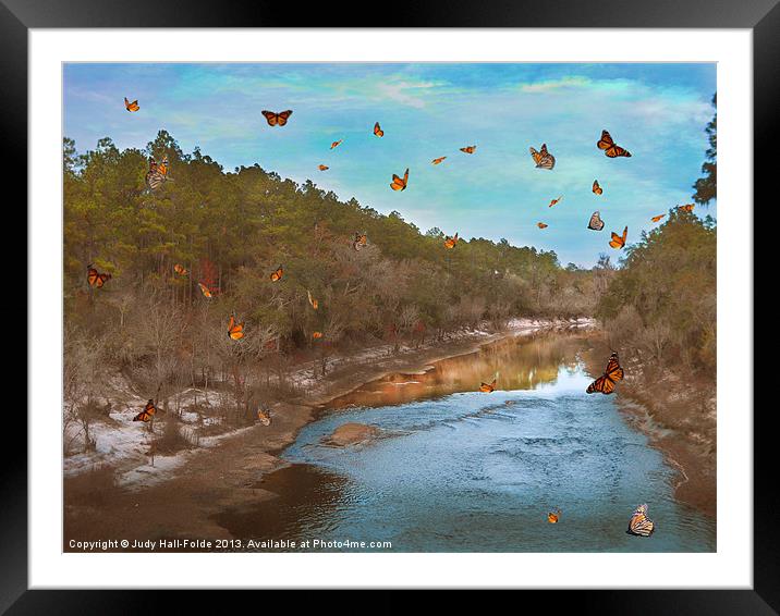 Summer at the River Framed Mounted Print by Judy Hall-Folde