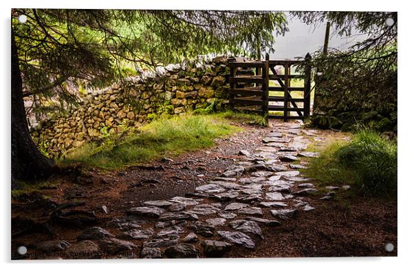 The Path at Blea Tarn Acrylic by John Dunbar