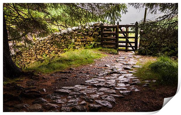 The Path at Blea Tarn Print by John Dunbar