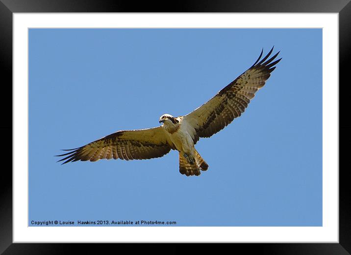 The Osprey Angel Framed Mounted Print by Louise  Hawkins