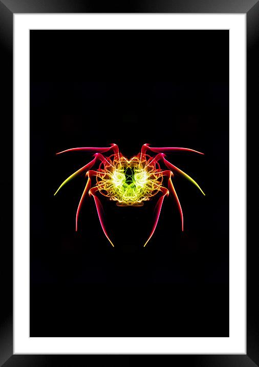 Smoke Spider 1 Framed Mounted Print by Steve Purnell