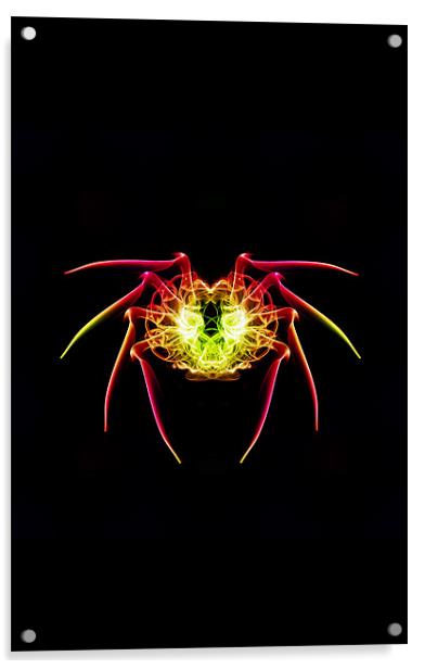 Smoke Spider 1 Acrylic by Steve Purnell