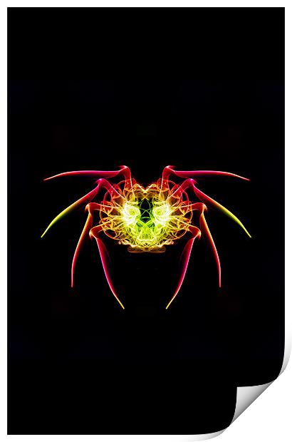 Smoke Spider 1 Print by Steve Purnell