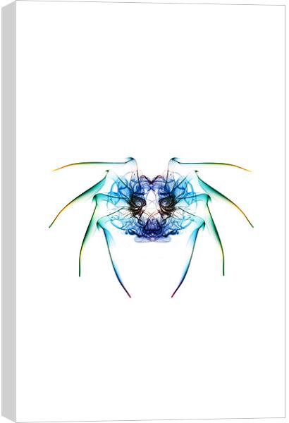 Smoke Spider 2 Canvas Print by Steve Purnell