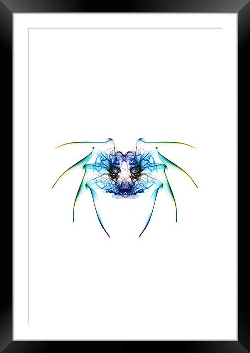 Smoke Spider 2 Framed Mounted Print by Steve Purnell
