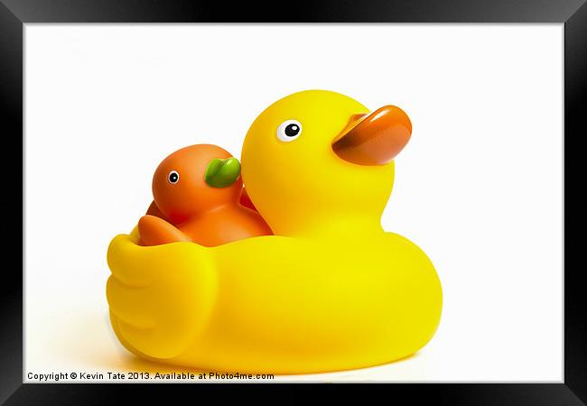 Rubber Ducks Framed Print by Kevin Tate