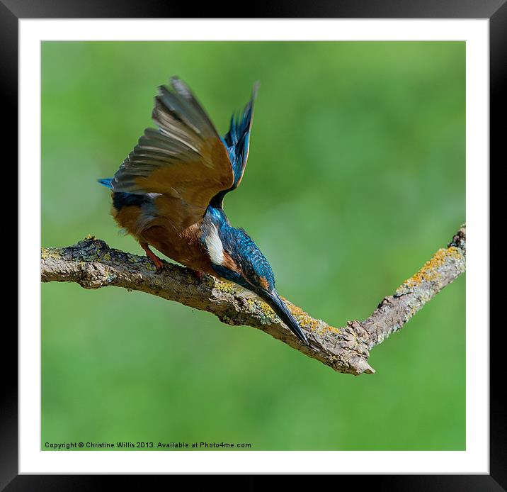 Take Off Framed Mounted Print by Christine Johnson