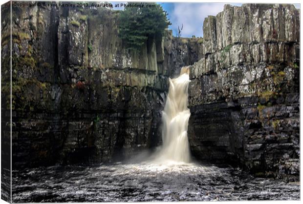 High Force Co Durham Canvas Print by Trevor Kersley RIP