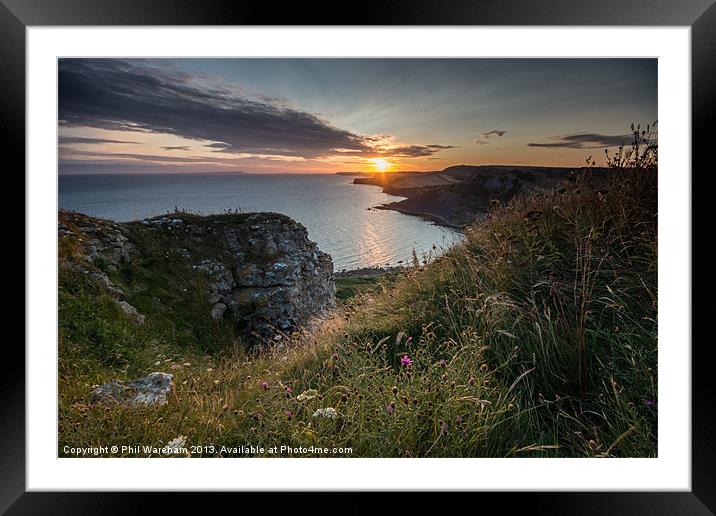 Wild flowers at Sunset Framed Mounted Print by Phil Wareham