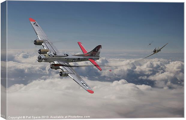 B17G - Lady Stardust Canvas Print by Pat Speirs