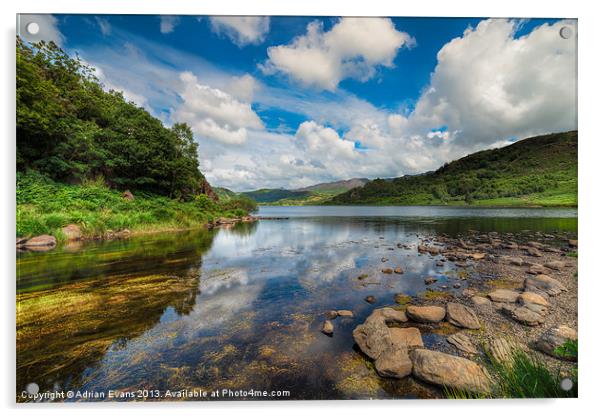 Cwellyn Lake Rhydd Ddu Snowdonia  Acrylic by Adrian Evans