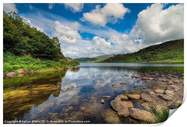 Cwellyn Lake Rhydd Ddu Snowdonia  Print by Adrian Evans