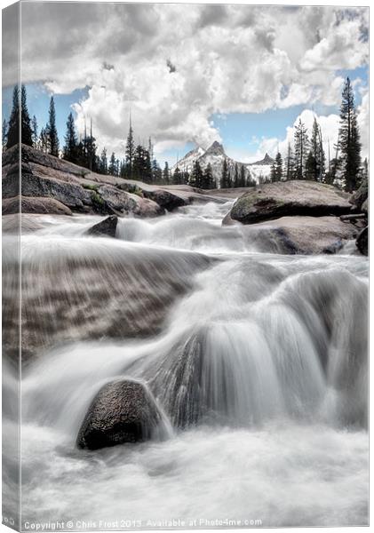 Tuolumne River and Unicorn Peak Canvas Print by Chris Frost