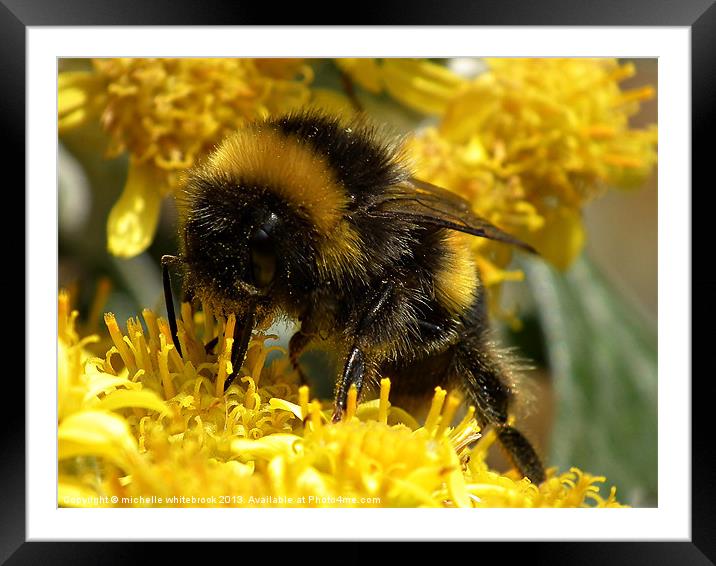 Little Bumble Framed Mounted Print by michelle whitebrook