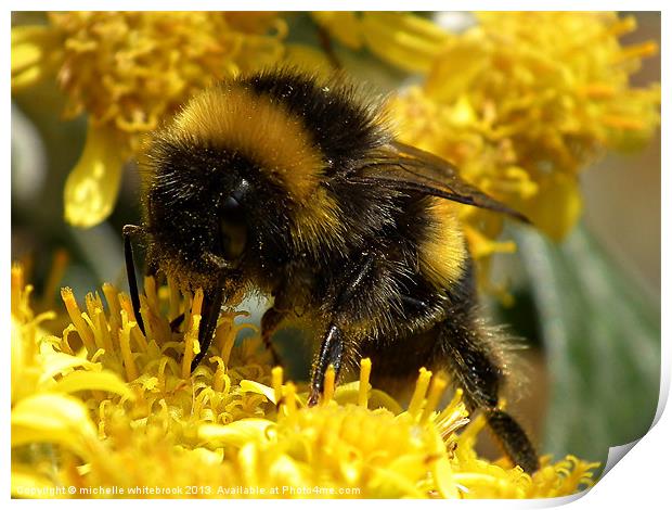 Little Bumble Print by michelle whitebrook