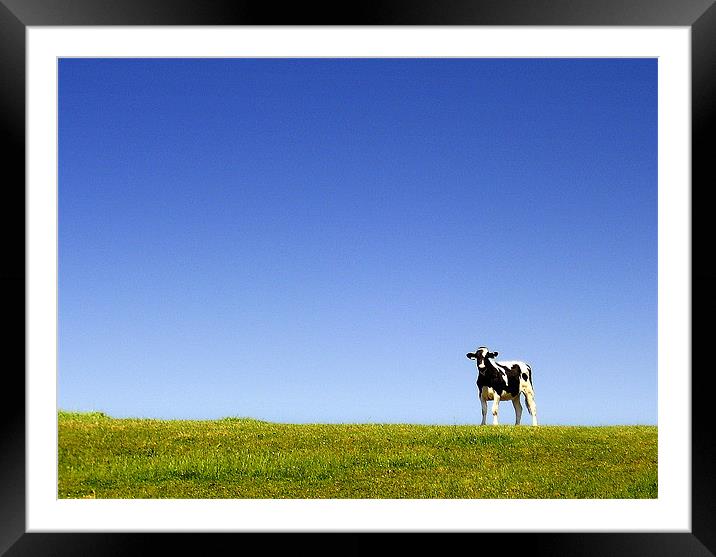 The cow Framed Mounted Print by Edward Burns