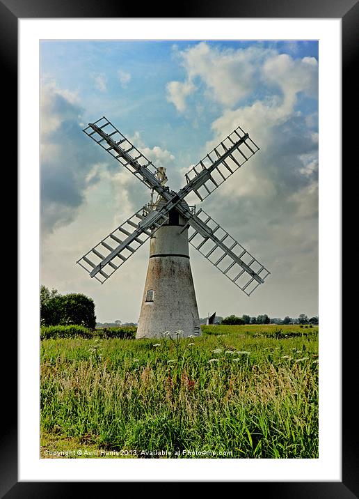 Thurne Dyke Drainage Mill Framed Mounted Print by Avril Harris