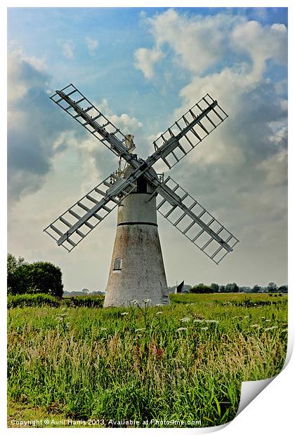 Thurne Dyke Drainage Mill Print by Avril Harris