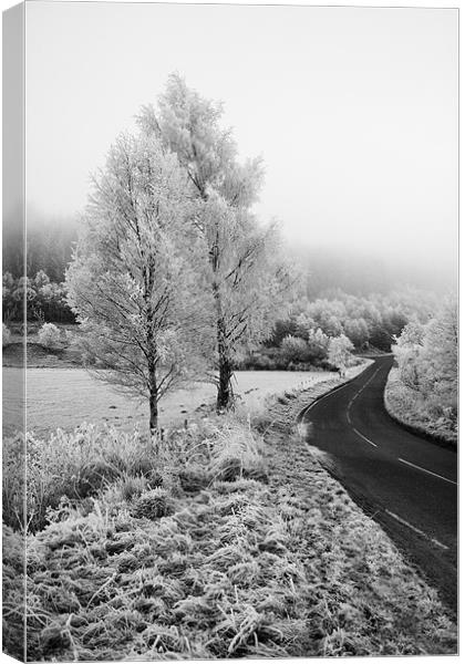 Frosty Road to no where Canvas Print by Malcolm Smith