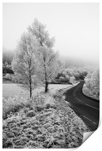 Frosty Road to no where Print by Malcolm Smith