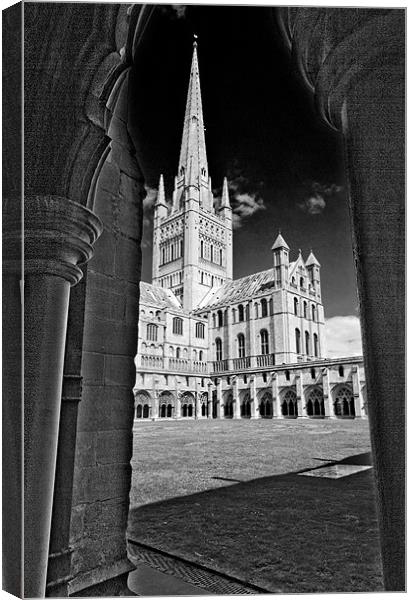 Norwich Cathedral from the Cloisters Canvas Print by Darren Burroughs