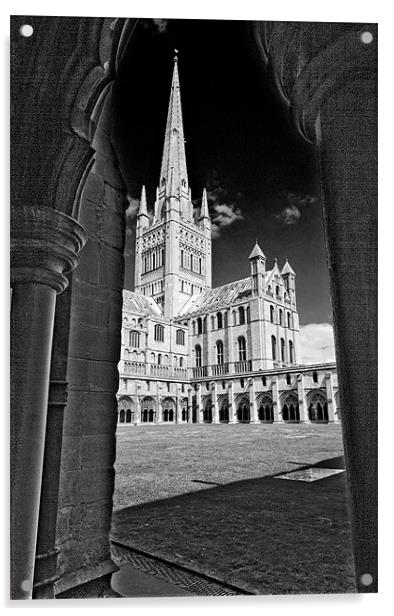 Norwich Cathedral from the Cloisters Acrylic by Darren Burroughs