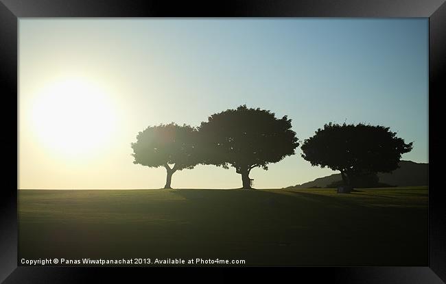 Tree Amigo Framed Print by Panas Wiwatpanachat