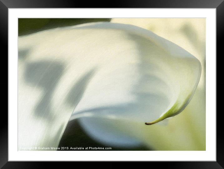 Arum lily Framed Mounted Print by Graham Moore