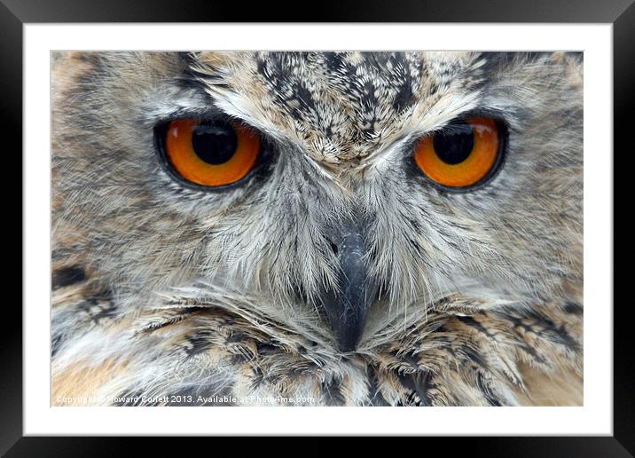 Eagle Owl Framed Mounted Print by Howard Corlett