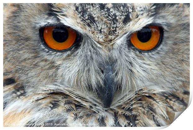 Eagle Owl Print by Howard Corlett