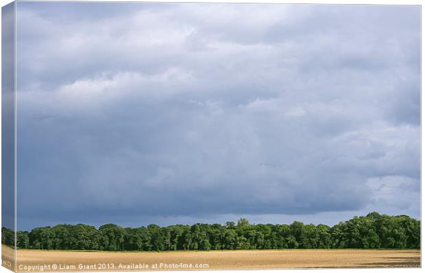 Dramatic rainclouds over rural field Canvas Print by Liam Grant