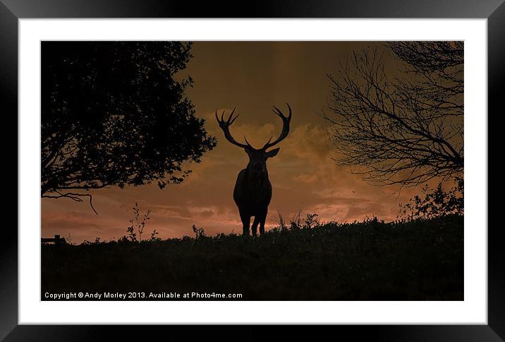 Stag Night Framed Mounted Print by Andy Morley