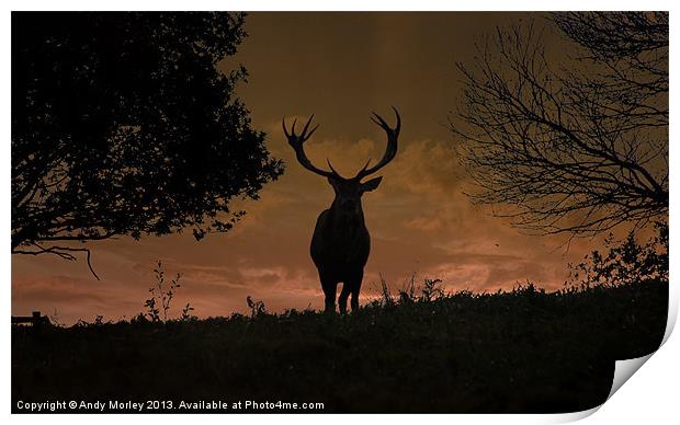 Stag Night Print by Andy Morley