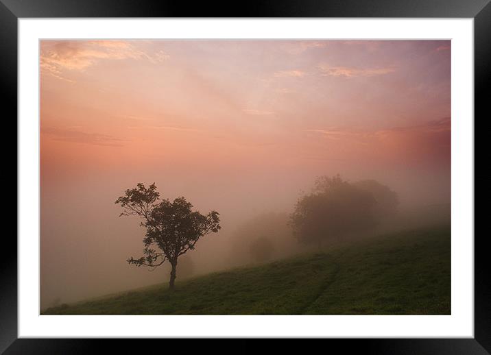 Mist on the South Downs Framed Mounted Print by Malcolm McHugh