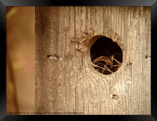 Birdhouse Framed Print by Pics by Jody Adams